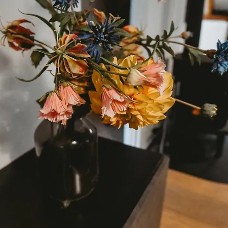 Boshuisje Rekem - Flora Lanaken Esterno foto
